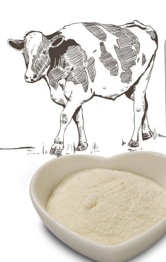 Ферменты KID POWDER LIPASE Calza Clemente