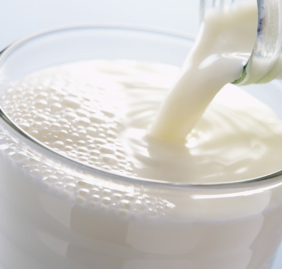 Тесты на определение антибиотиков в молоке Calza Clemente